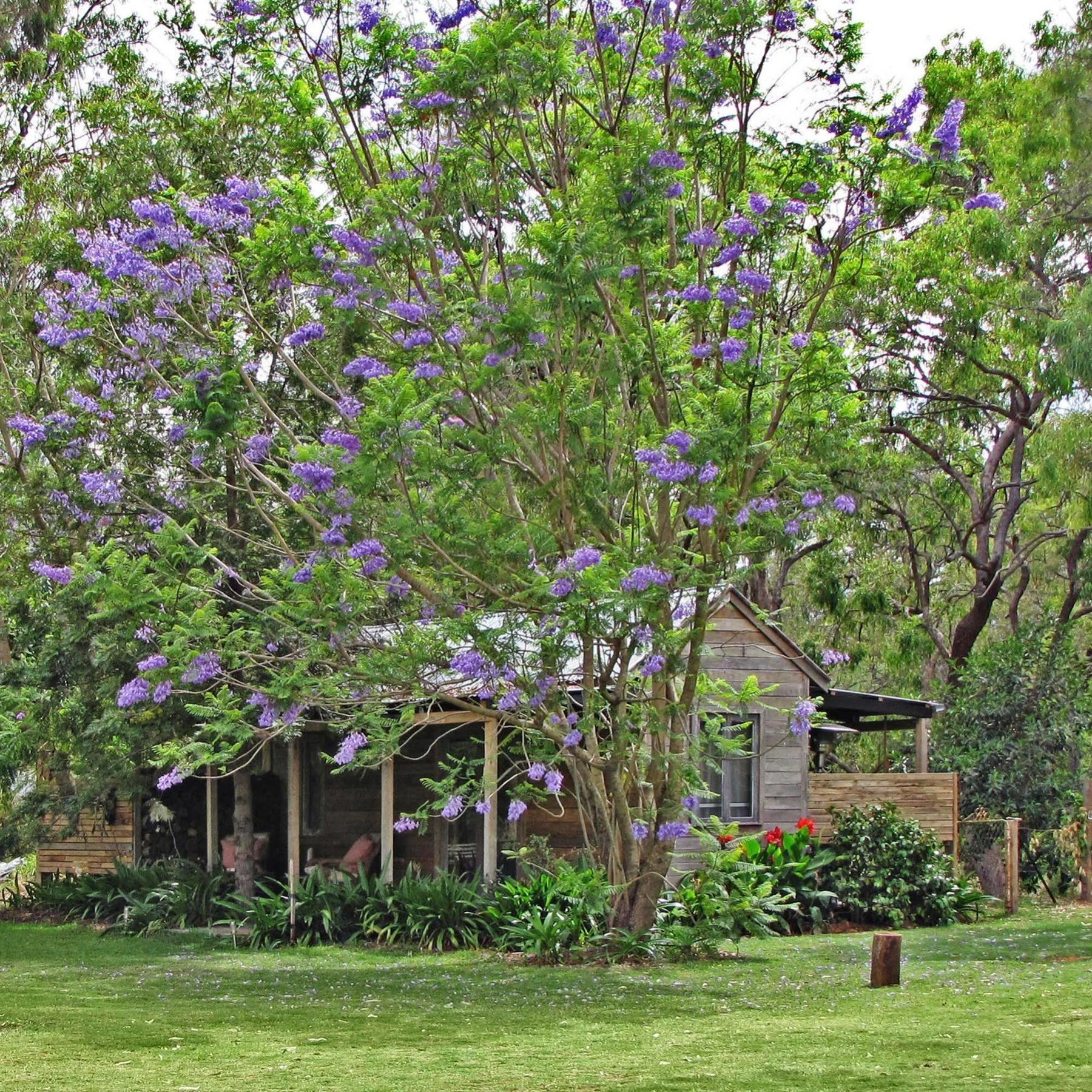 The Laurels Of Chinchilla Hotel Bagian luar foto